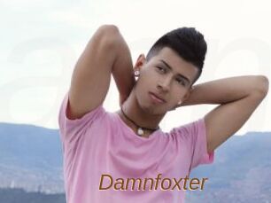Damnfoxter