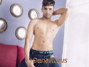 Daneil_torus