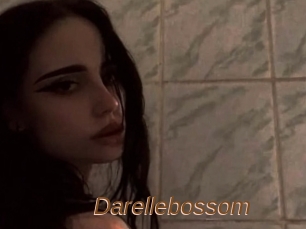 Darellebossom