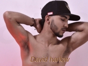 David_harlow