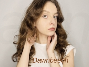 Dawnbeech