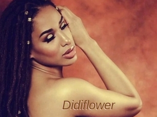 Didiflower
