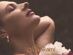 Divinakarni