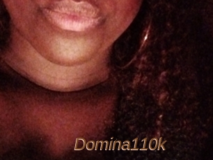 Domina110k