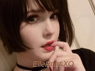 EllePurrsXO
