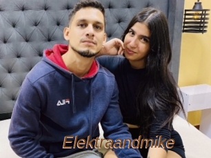 Elektraandmike