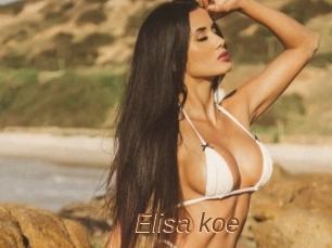 Elisa_koe