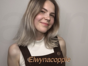 Elwynacopple