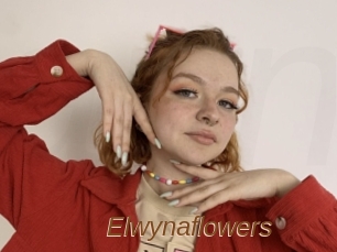 Elwynaflowers