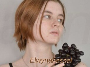 Elwynahessel