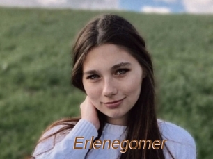 Erlenegomer