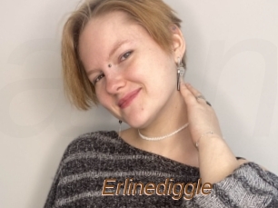 Erlinediggle