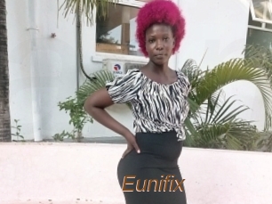Eunifix