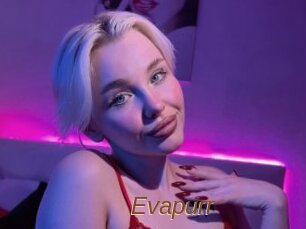 Evapurr