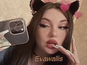 Evawallis
