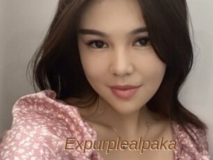 Expurplealpaka