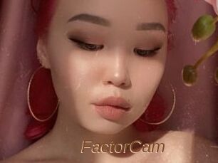 FactorCam