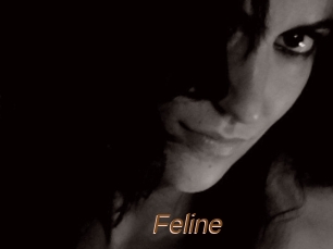 Feline
