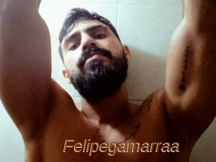 Felipegamarraa