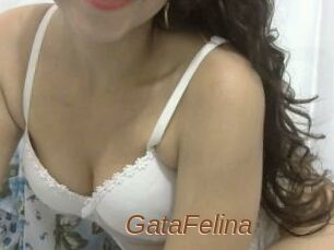 GataFelina