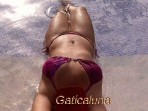 Gaticaluna