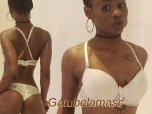 Gatubela_masc