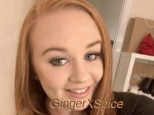 GingerXSpice