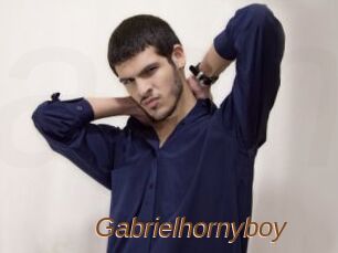Gabrielhornyboy