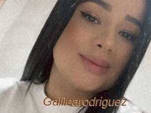 Galilearodriguez