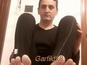 Garfild18