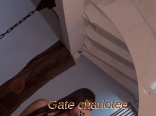 Gate_charlotee