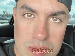 Gatoccc
