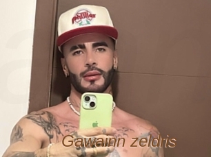 Gawainn_zeldris