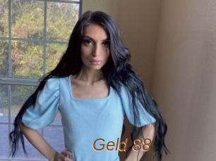 Geld_88