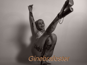 Ginebrafoster