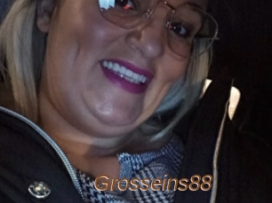 Grosseins88