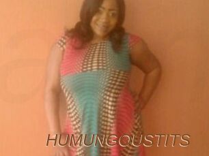 HUMUNGOUSTITS