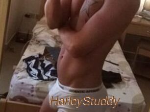 HarleyStuddy