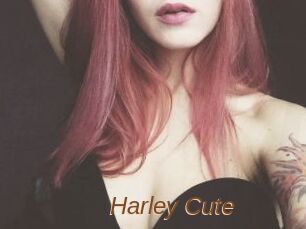 Harley_Cute