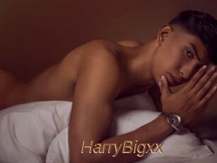 HarryBigxx