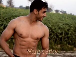 HarrysStick