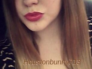 Houstonbunny713