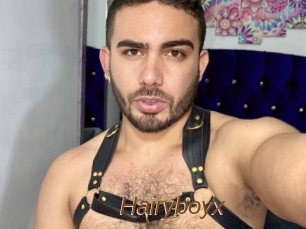 Hairyboyx