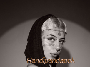 Handipandapok