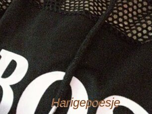 Harigepoesje