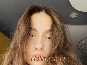 Hollisgarney