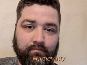 Horneyguy