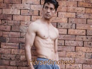 Horse9inchesz