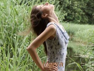 Ingera
