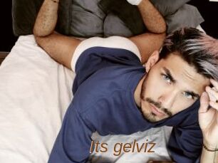 Its_gelviz